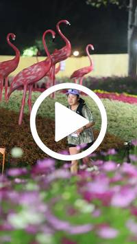 BIB:  <button type="button" onclick="openModal(27591138)" class="btn btn-primary btn-sm float-right" data-toggle="modal" data-target=".modal-high-quality">
                <i class="fa fa-download"></i> Download
                </button>